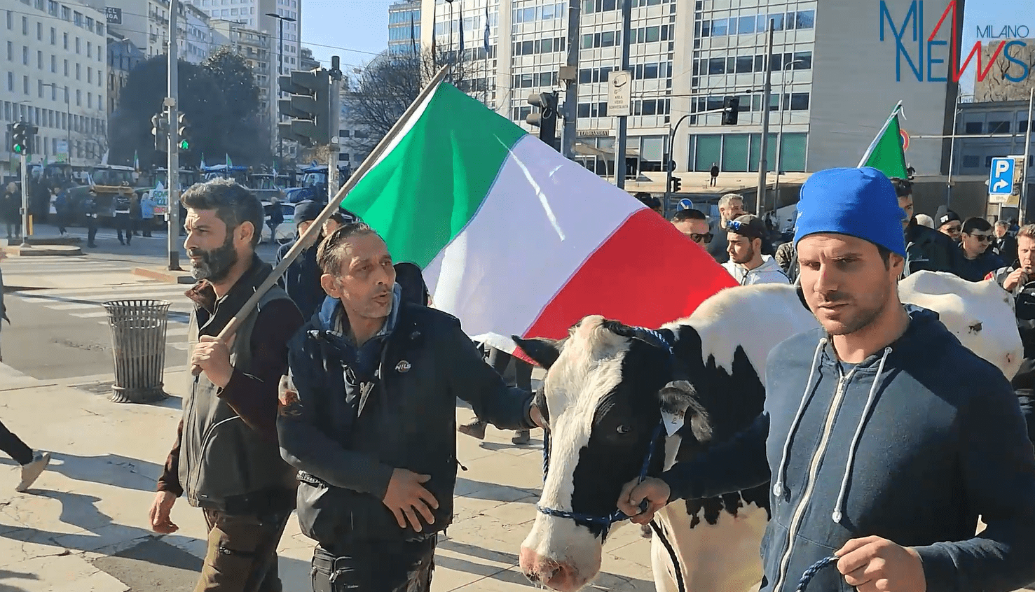 Agricoltori, la protesta torna al Pirellone con la mucca Ercolina - Radio  Lombardia